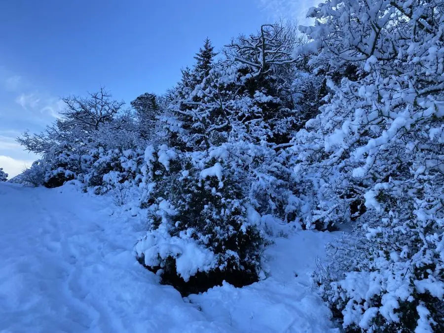 On pouvait pas démarrer mieux