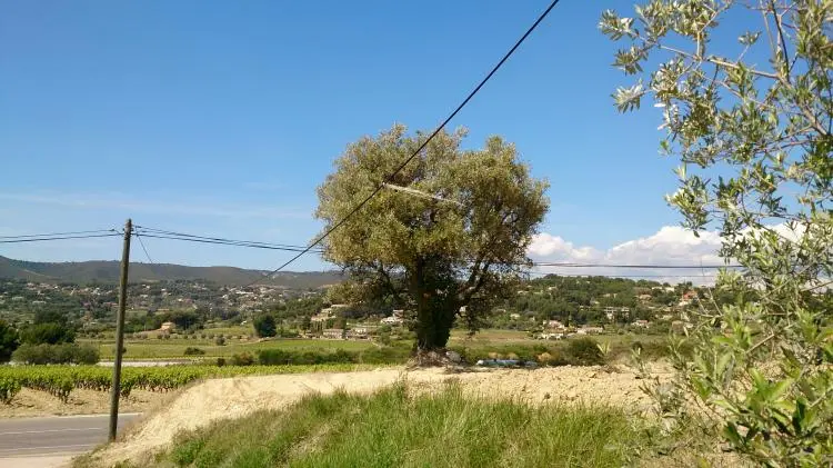 Atterrir au terain secours de la Cadière