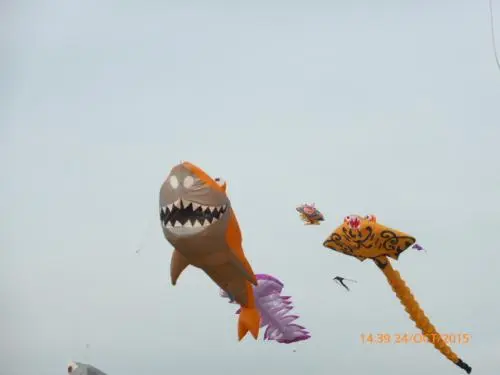 Fête de l'AIR à Fréjus