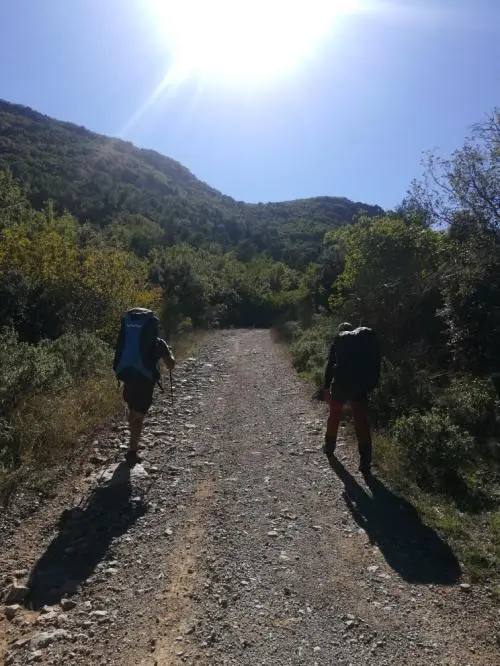 Le Plan M...où une sortie des sangliers d'Azur