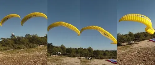 cub11.jpg