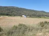 L'handicapé à Tasie