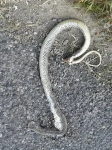 20130701_165420.jpg
