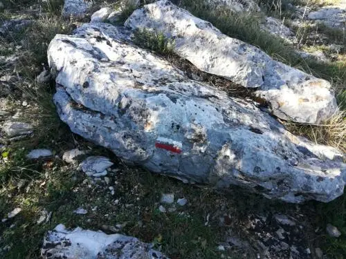 Info pour Mig, ceci marque les GR - sentiers utilisés par le commun des mortels pour randonner