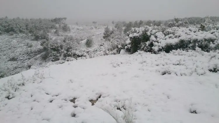 Samedi 02 Décembre