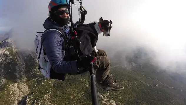 Y-A de la chance que pour la crapule...