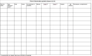 fiche-observation.png