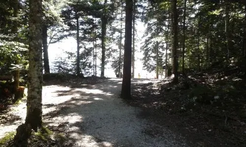 Un tour au frais