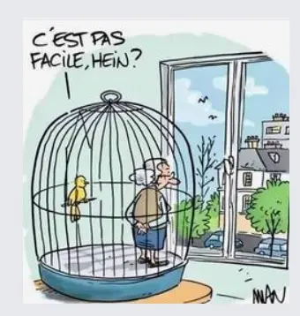 Allez encore 15 jours ! 