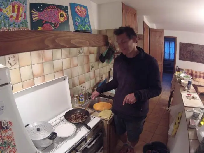 Champignons du verdon