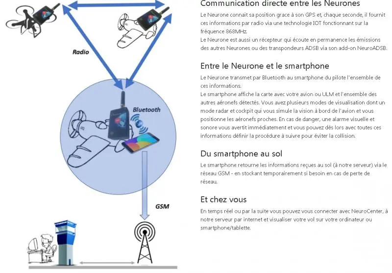 Flying Neurons