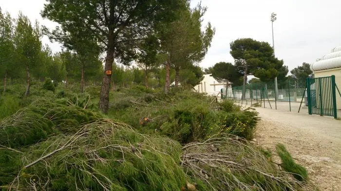 Mon beau sapin...