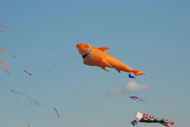 Festival de l'air