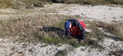 Débroussaillage et vol