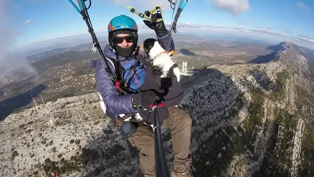 Y-A de la chance que pour la crapule...