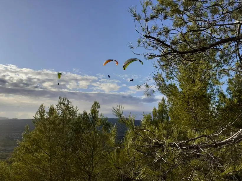 quelques images de dimanche