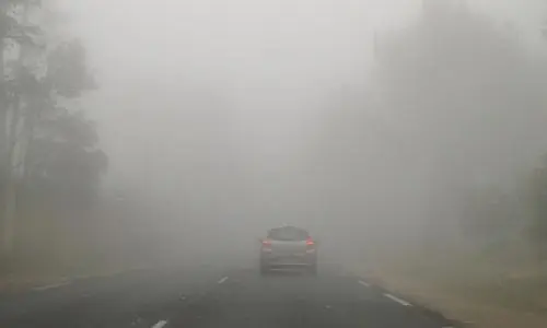 Un temps de chien