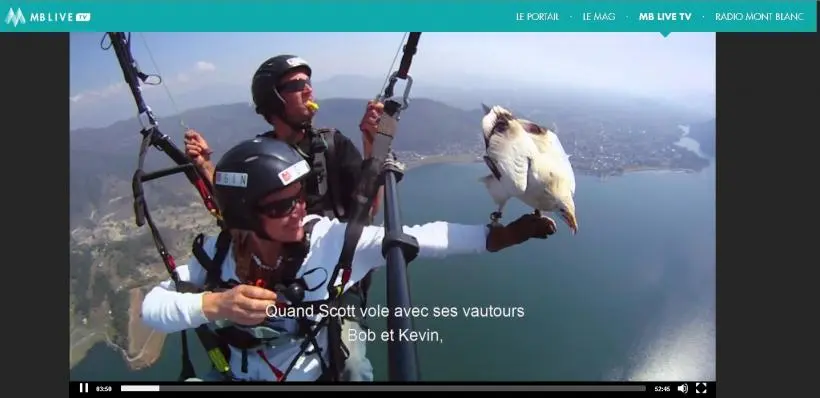 vautours en voie d'extinction ? 