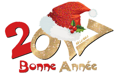 Bonne année 