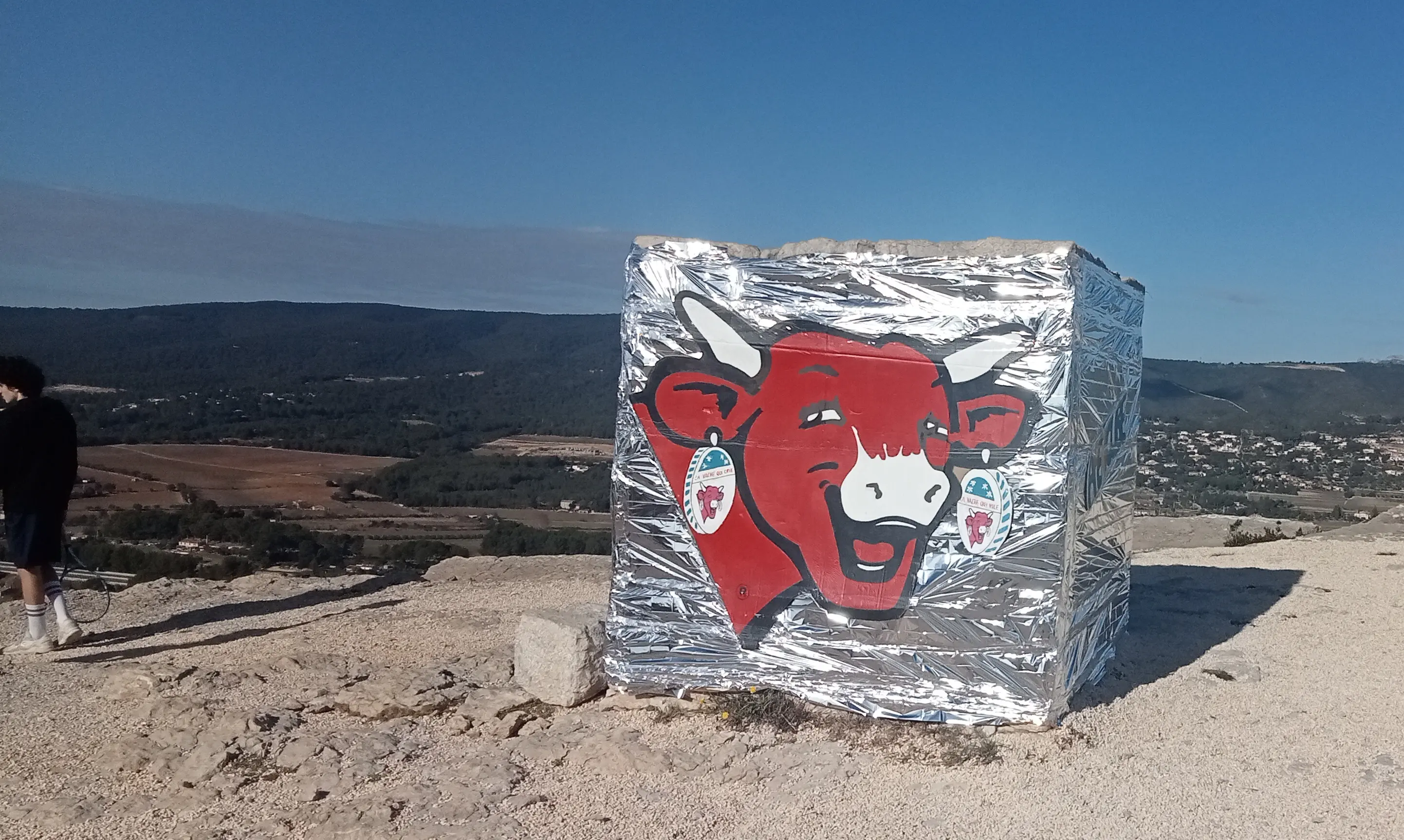 Cube déguisé 2025, un grand crû ! (qui l’eut crû ?)