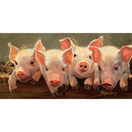 les 4 petits cochons qui cherchaient la mer